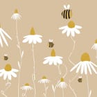 Miniatura fototapety Białe stokrotki na beżowym tle