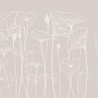 Miniatura fototapety Delikatne kontury lilii