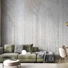 Miniatura fototapety Las brzozowy we mgle we wnętrzu salonu