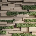 Miniatura fototapety Drewniane panele z roślinami