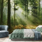 Miniatura fototapety Promienie słońca w lesie we wnętrzu pokoju nastolatka