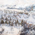 Miniatura fototapety Śnieżny las i góry w tle