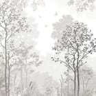 Miniatura fototapety Spokojny Las z Wysokimi Drzewami