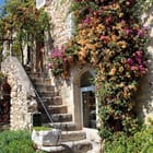 Miniatura fototapety Kamienne schody z roślinnością