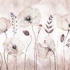 Miniatura fototapety Delikatne maki na jasnym tle