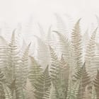 Miniatura fototapety Zielone liście paproci na jasnym tle