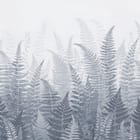 Miniatura fototapety Gęste Paprocie w Szarościach