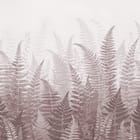 Miniatura fototapety Gęsta Kompozycja Paproci