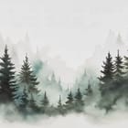 Miniatura fototapety Mglisty las iglasty
