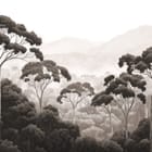 Miniatura fototapety Leśne Drzewa i Mgła