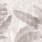 Miniatura fototapety Tropikalne liście na jasnym tle