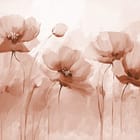 Miniatura fototapety Maki na długich łodygach