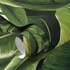 Miniatura fototapety Zielone liście bananowca fragment #1