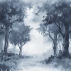 Miniatura fototapety Tajemniczy las we mgle