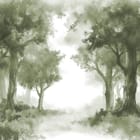 Miniatura fototapety Gęsty las z wysokimi drzewami