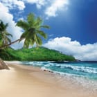 Miniatura fototapety Plaża z palmami i oceanem