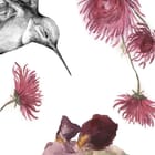 Miniatura fototapety Kwiaty i kolibry na białym tle - jakość wydruku i struktura materiału