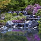 Miniatura fototapety Ogród z Wodospadem i Roślinnością