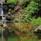 Miniatura fototapety Wodospad w ogrodzie z kamieniami