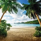 Miniatura fototapety Plaża z palmami i oceanem