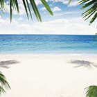 Miniatura fototapety Plaża z palmami i oceanem