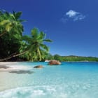 Miniatura fototapety Plaża z palmami i oceanem