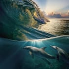 Miniatura fototapety Delfiny pod wodą w oceanie