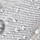 Miniatura fototapety Pióra z Kroplami Wody fragment #2