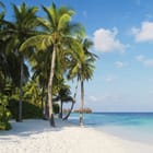 Miniatura fototapety Tropikalna plaża z palmami