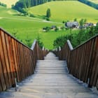 Miniatura fototapety Drewniane schody wśród zieleni