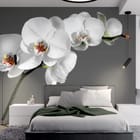 Miniatura fototapety Orchidea na szarym tle we wnętrzu sypialni