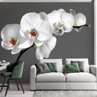 Miniatura fototapety Orchidea na szarym tle we wnętrzu pokoju nastolatka