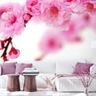 Miniatura fototapety Sakura z różowymi kwiatami we wnętrzu salonu