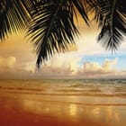 Miniatura fototapety Plaża z palmami i oceanem