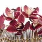 Miniatura fototapety Czerwone orchidee na macie bambusowej