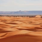 Miniatura fototapety Rozległe Wydmy Pustynne