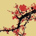 Miniatura fototapety Sakura na gałęzi drzewa