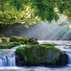 Miniatura fototapety Leśny wodospad z kamieniami