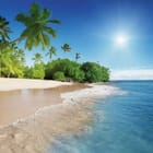 Miniatura fototapety Plaża z palmami i oceanem