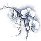 Miniatura fototapety Orchidee na niebieskim tle