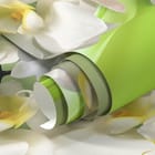 Miniatura fototapety Białe Orchidee na Zielonym Tle - realne zdjęcie w rolce