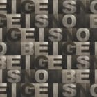 Miniatura fototapety Typograficzny wzór literowy