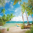 Miniatura fototapety Plaża z palmami i łodzią