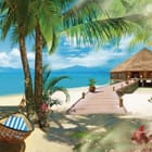 Miniatura fototapety Plaża z palmami i domkiem