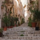 Miniatura fototapety Kamienne schody z roślinami