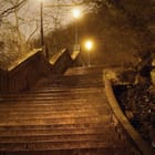 Miniatura fototapety Kamienne schody w deszczu