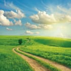 Miniatura fototapety Kręta droga przez zielone pola