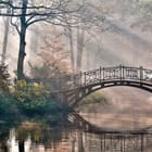 Miniatura fototapety Mostek nad spokojną wodą