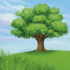 Miniatura fototapety Zielone drzewo na łące