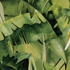 Miniatura fototapety Zielone Liście Bananowca - realne zdjęcie w rolce